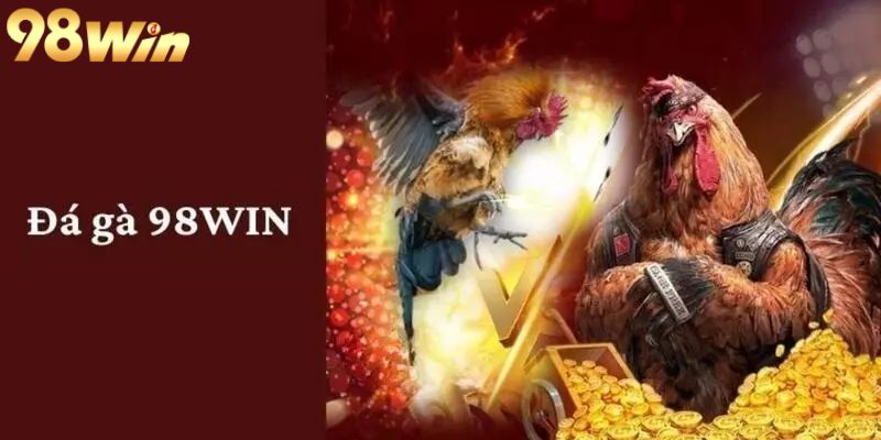 Tổng quan về sảnh đá gà 98win